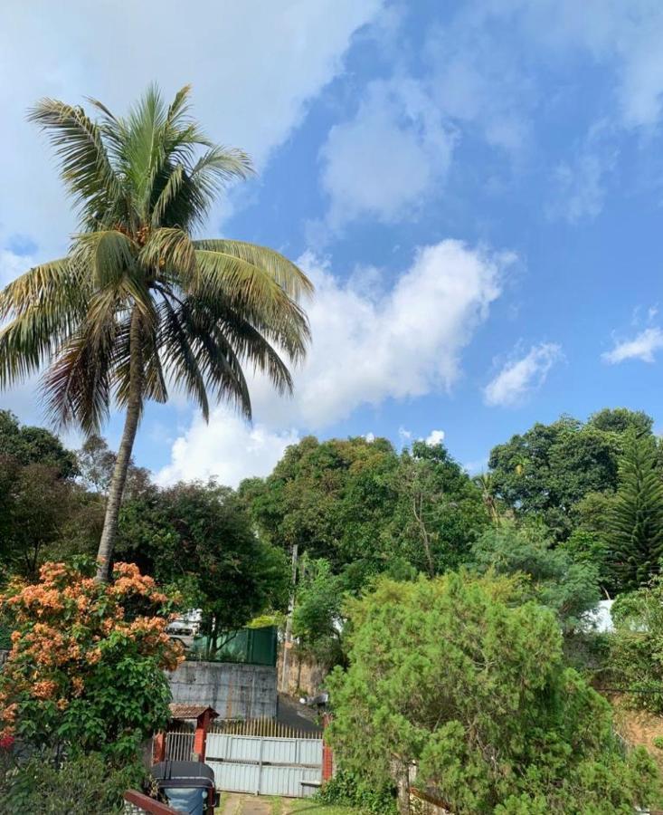No 06 Veediya Bandara Lane Bahirawakanda 康提 外观 照片