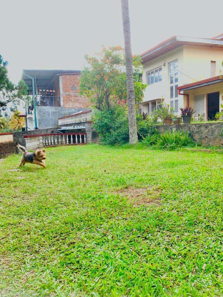 No 06 Veediya Bandara Lane Bahirawakanda 康提 外观 照片
